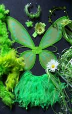 Fairy Costume
