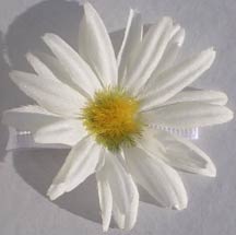 Daisy Barrettes